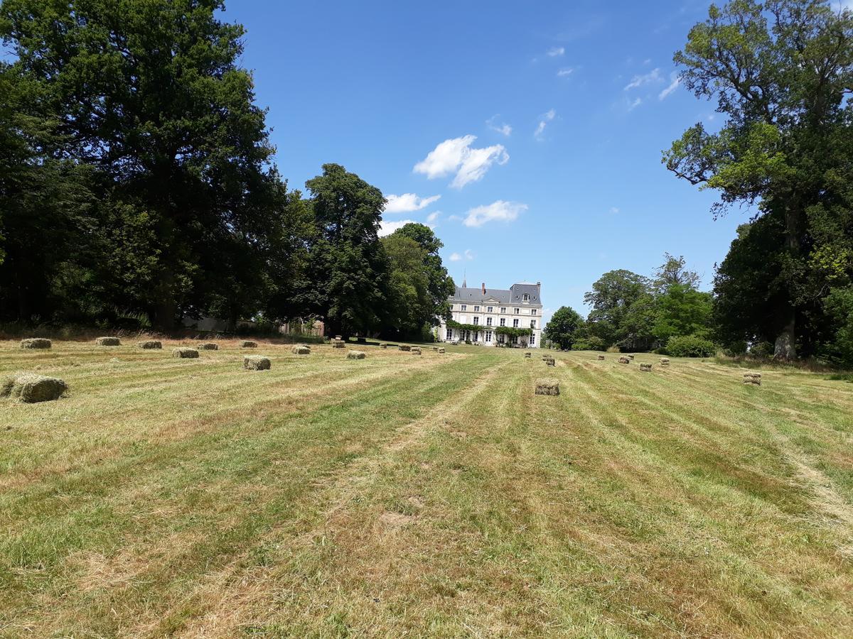 Chambres D'Hotes Chateau De La Puisaye Verneuil d'Avre et d'Iton Kültér fotó